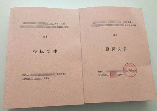 招投標(biāo)書(shū)翻譯文件圖片